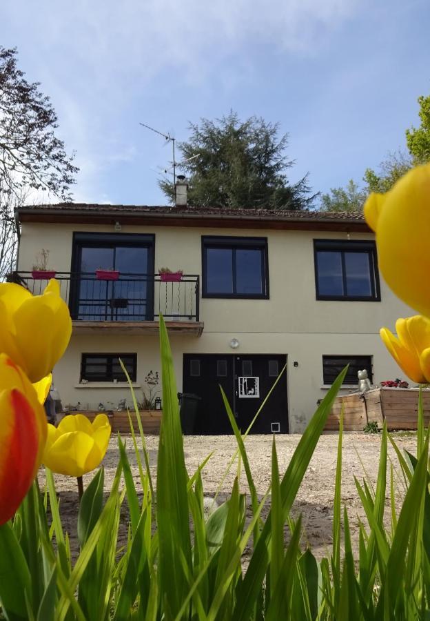 Chez Flo Et Marc Apartment Chouzy-sur-Cisse Exterior foto