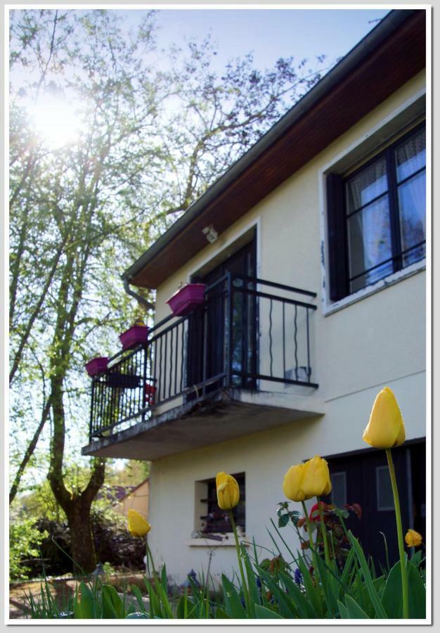 Chez Flo Et Marc Apartment Chouzy-sur-Cisse Exterior foto